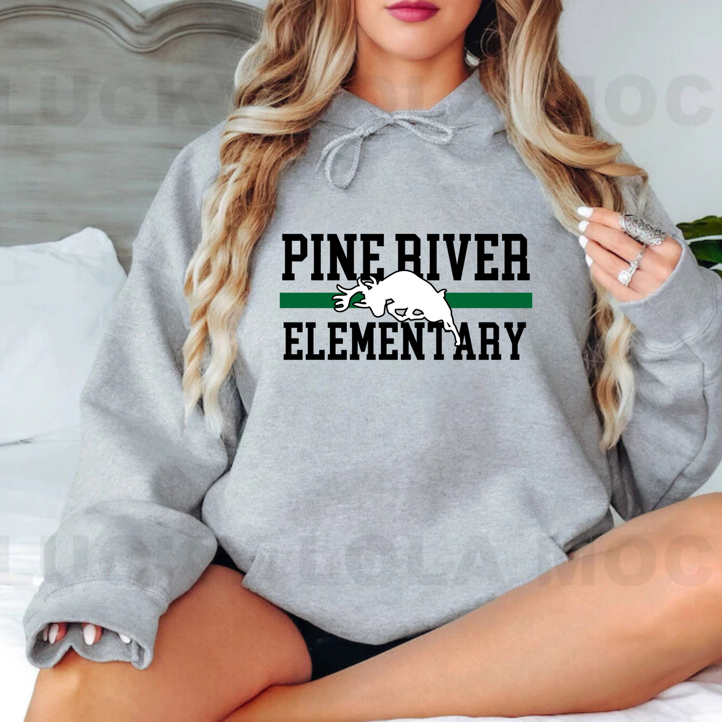 Pine River Elementary ADULT Hoodie