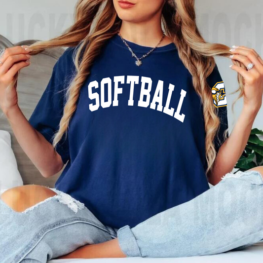 Cadillac Vikings Softball ADULT T-Shirt